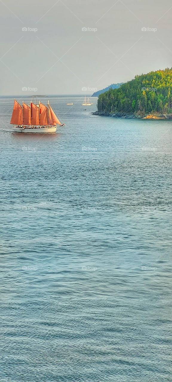 orange sails