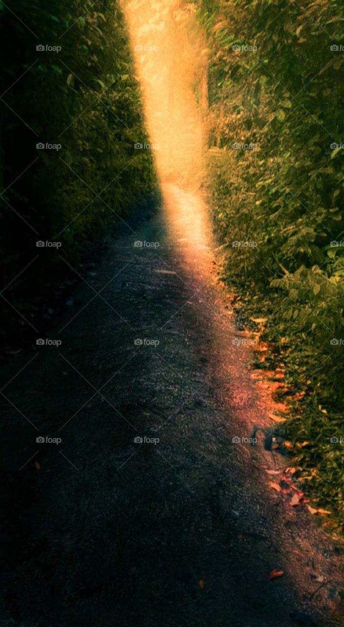 beautiful light and beautiful one way path