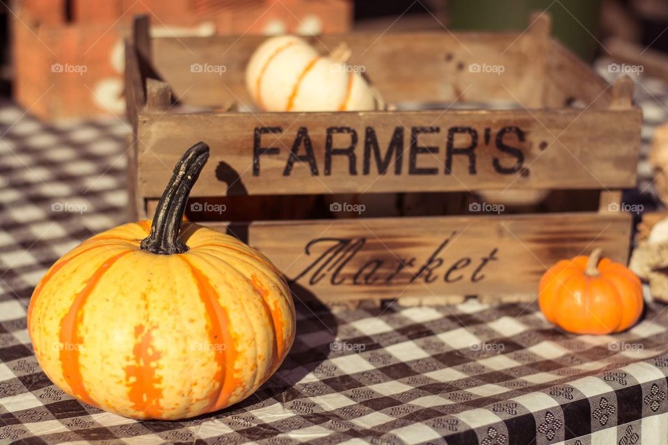 Farmers market PUMPKIN picking patch at local farm in fall autumn 