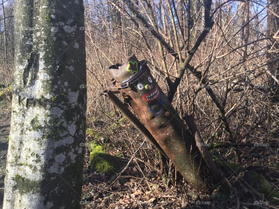 Old Pipe Painted With a Face along Blue Heron Nature Reserve
