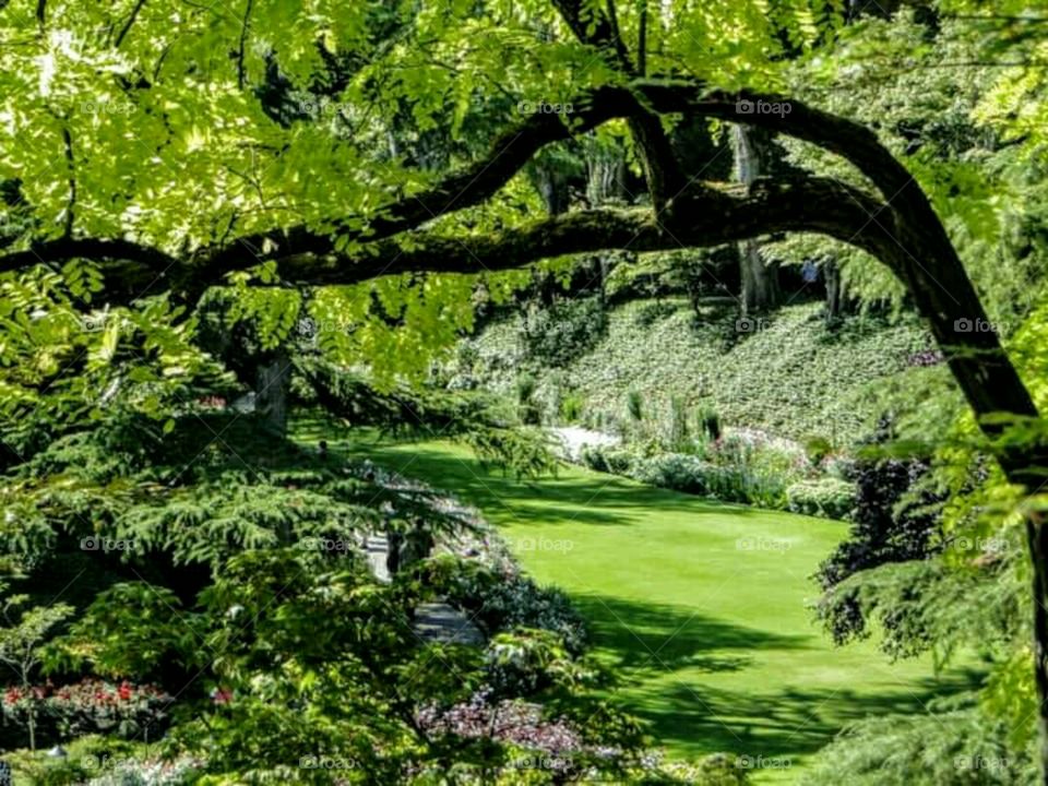 Butchart Gardens
