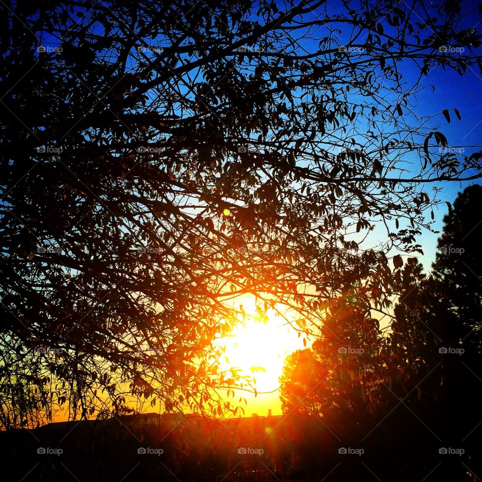 🇺🇸 The morning dawn of the city of Jundiaí, Brazil. What a beauty! Long live the summer and nature!
🇧🇷 O amanhecer caipira da cidade de Jundiaí, no Brasil. Que beleza! Viva o verão e a natureza! 