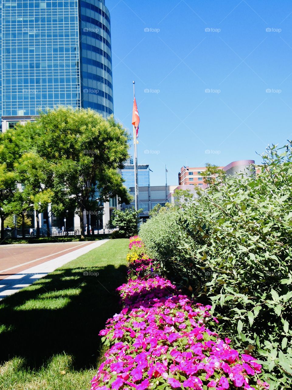 Beautiful Exchange Place in Jersey City -shadows cast from the afternoon sun surrounded by trees,flowers and skyscrapers. 