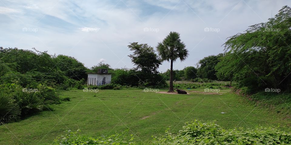 lonely place in the green fields and meadows..