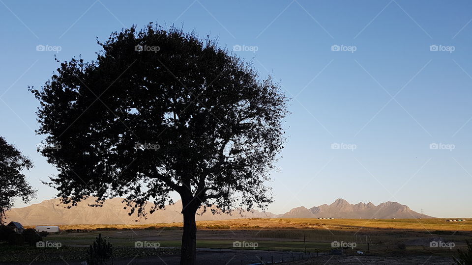 Mountains in the distance at Spier. Stellenbosch