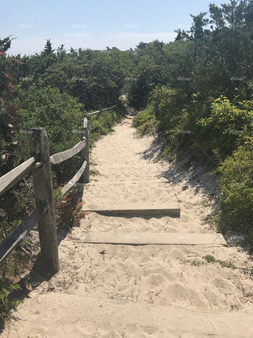 No Person, Nature, Tree, Landscape, Wood