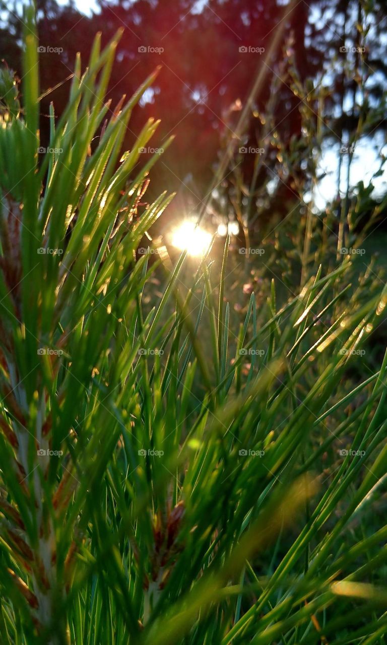 um entardecer muito lindo