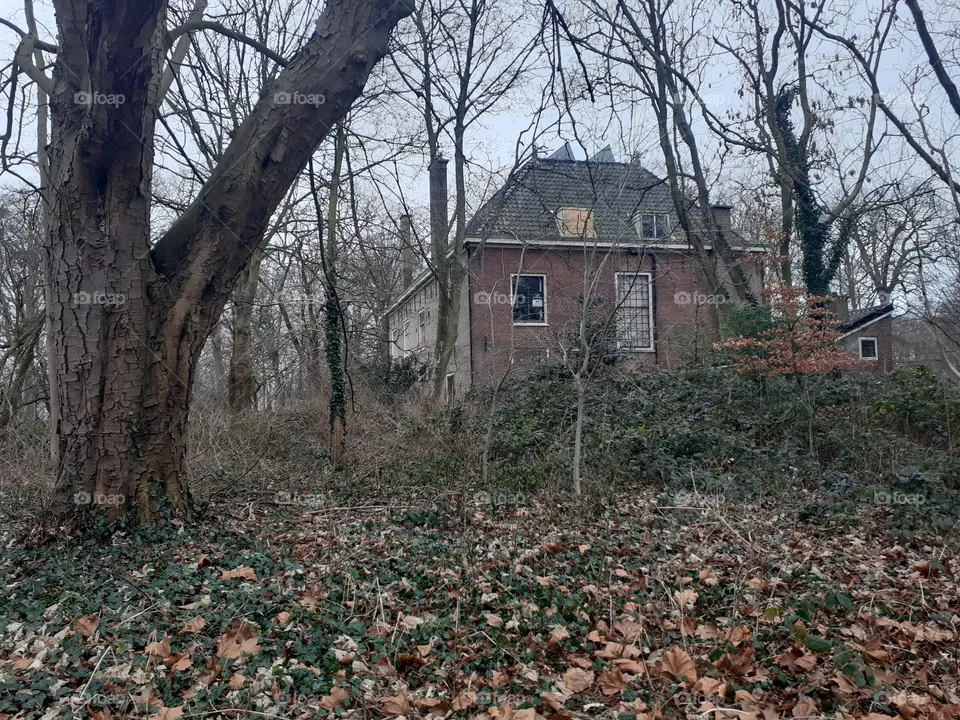 vacant building / house