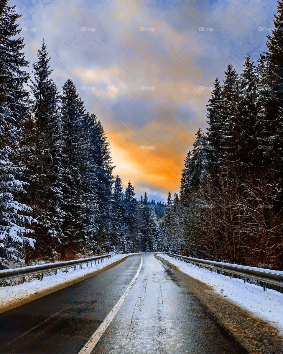 winter road