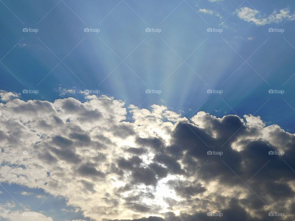 Nature’s splendour