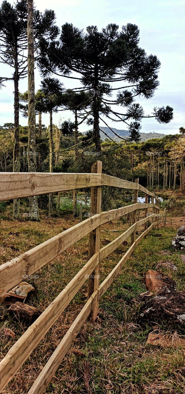 Wooden fenced in autumn landscape