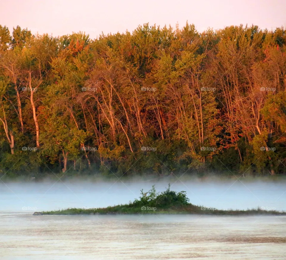 Misty morning