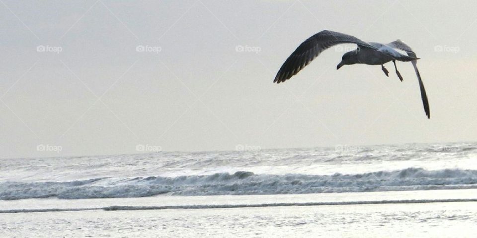 in flight