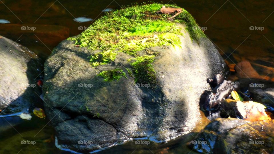 A big boulder in the river covered in moss