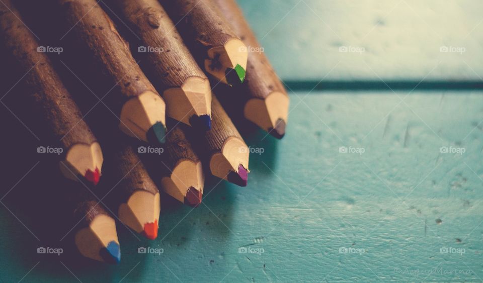 tree pencils colours