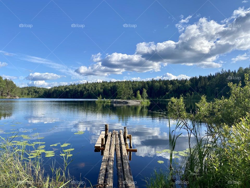 Lake and forest. Natural background. Blue sky 