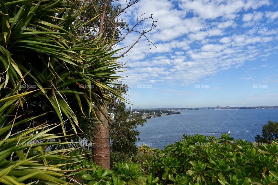 The Swan River view from Kings Park, Perth, Western Australia. On the river, there is a boat, and we can see blue sky and unique shaped clouds there.