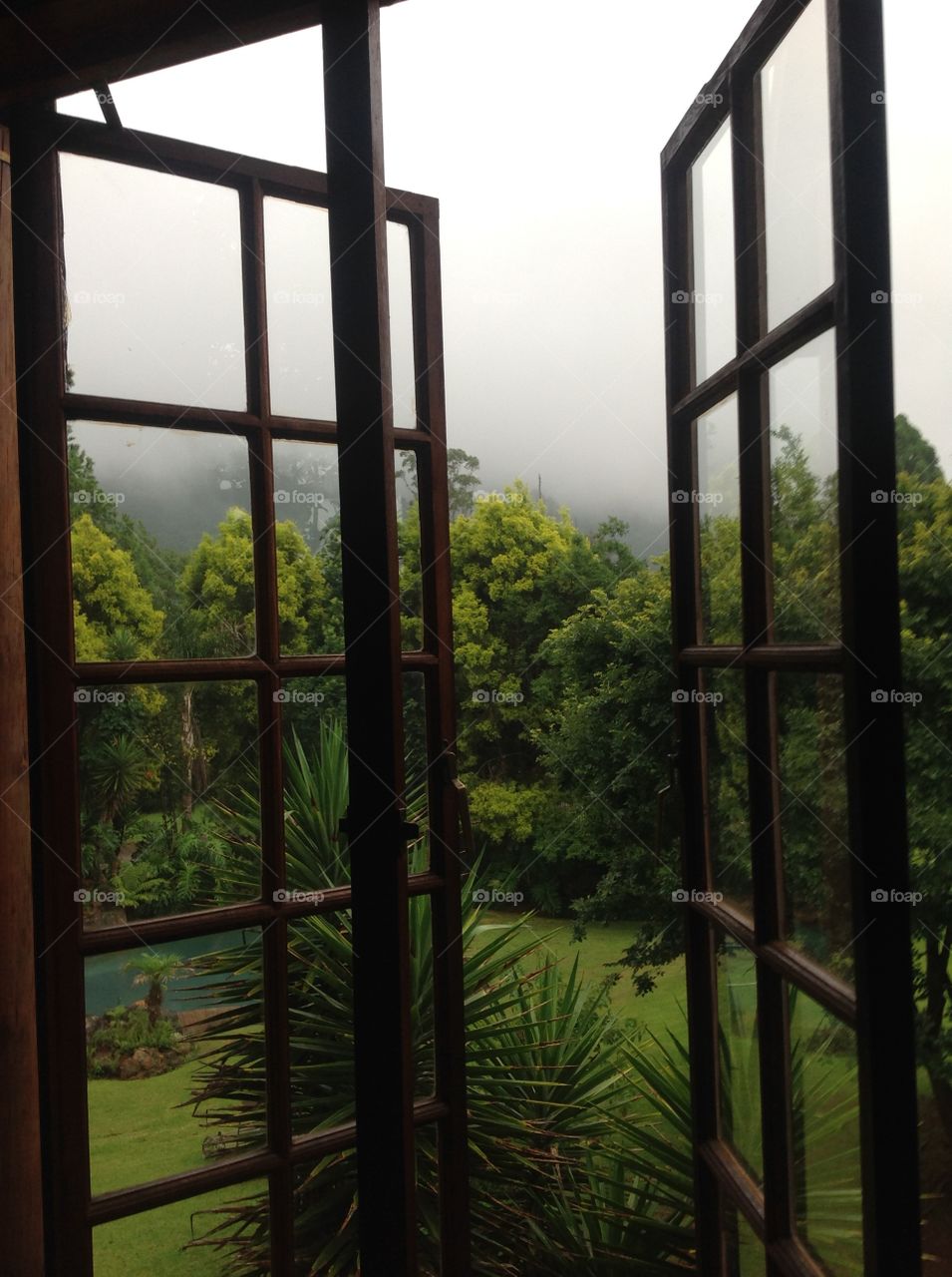 Misty morning view from window