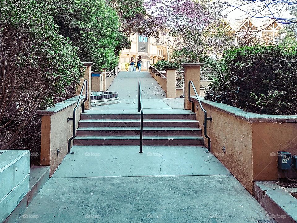 Where The Path Leads Us