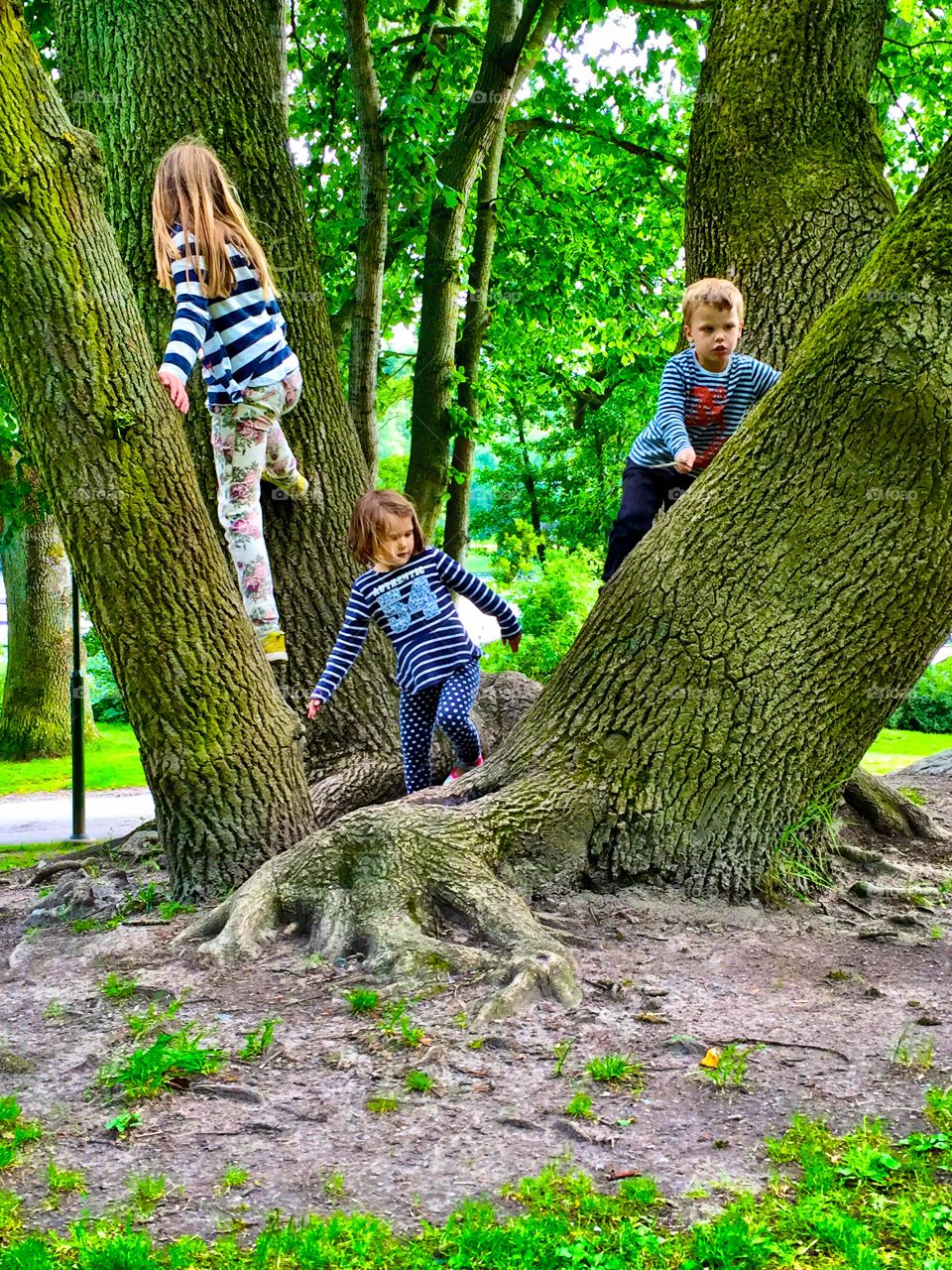Group of kids climbing on tree