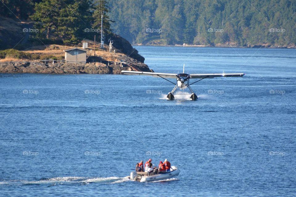 Sea Plane landing