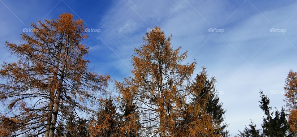 Herbst in Österreich