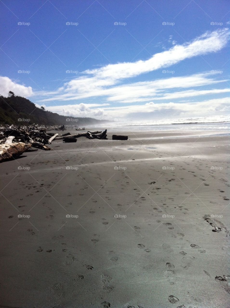 Kalaloch beach