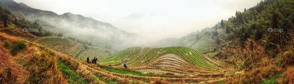Chinese Rice terraces