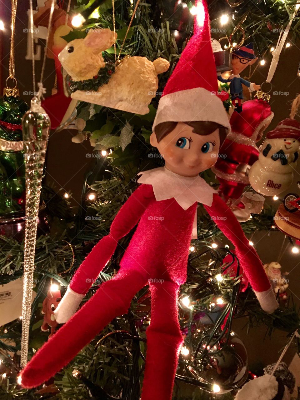 Elf ok the shelf 5