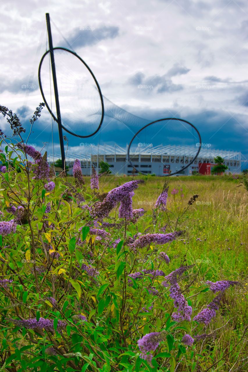 ellipse sculpture middlehaven Middlesbrough