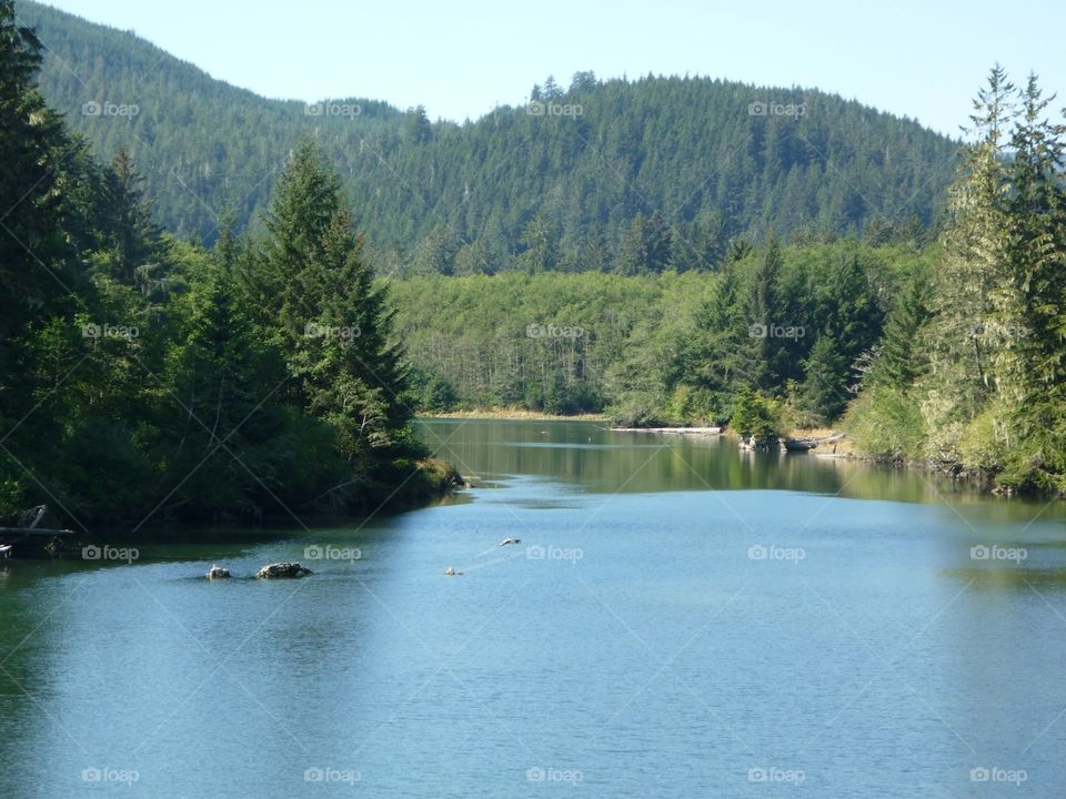 Landscape off Port Nelson in beautiful BC