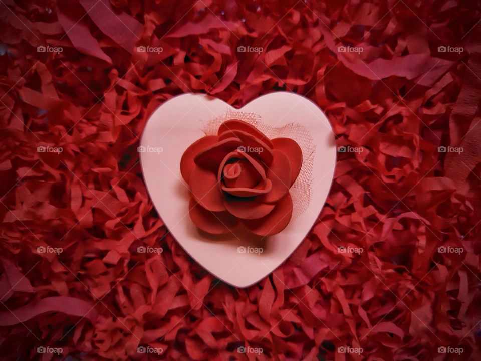 Everything in life dies except love , it is immortal and stays forever