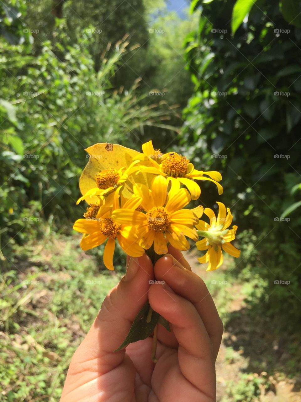 Flowers