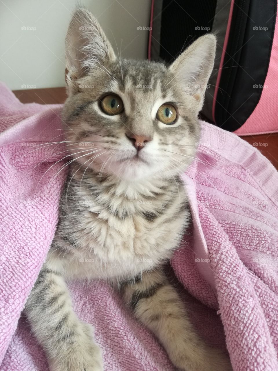 Lo sublime de su mirada " Gigi "