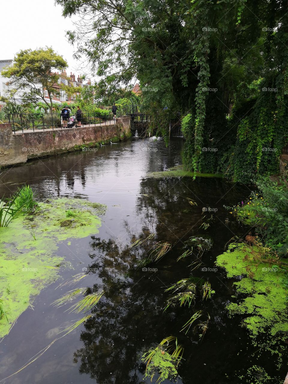 River in Canterbury England
