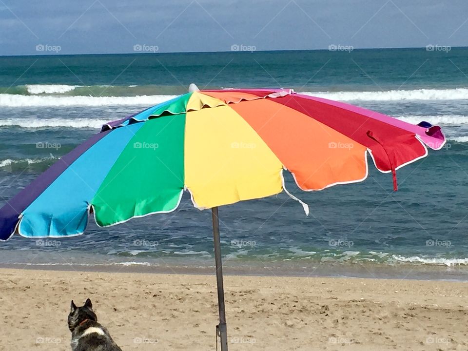 Beach Umbrella 