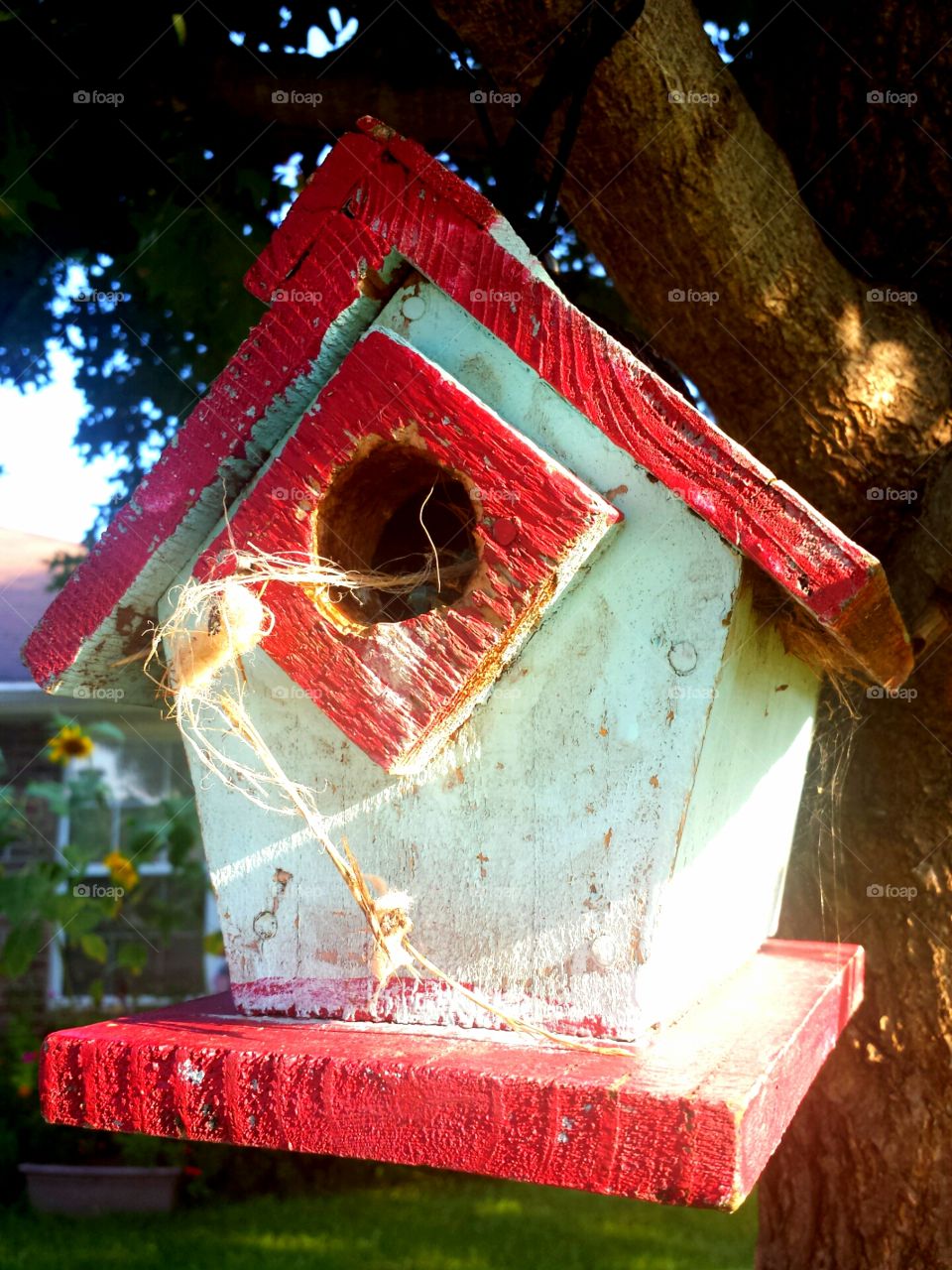 birdhouse