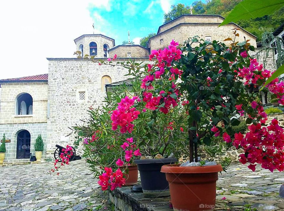 Bougenvillea in front of a monastery