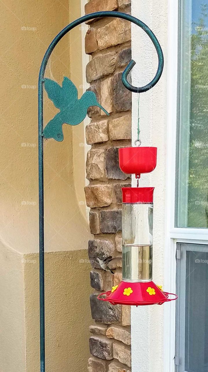 tiny hummingbird caught in midflight flying away from bright red feeder by window and brick corner