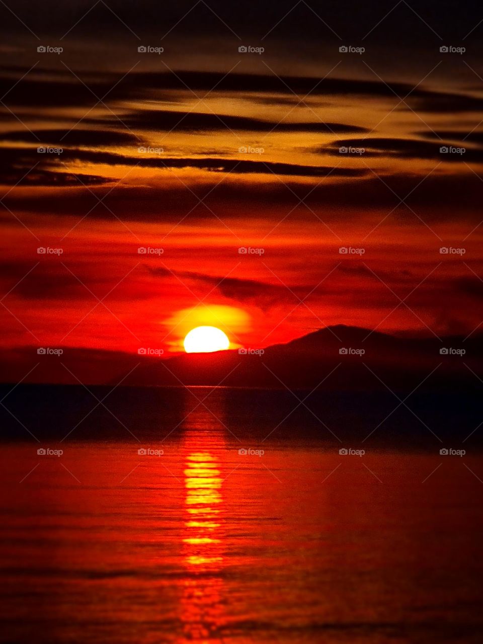 #Opacarophile: Vibrant 
The sun's fiery descent ignites the sky, casting a vivid glow.