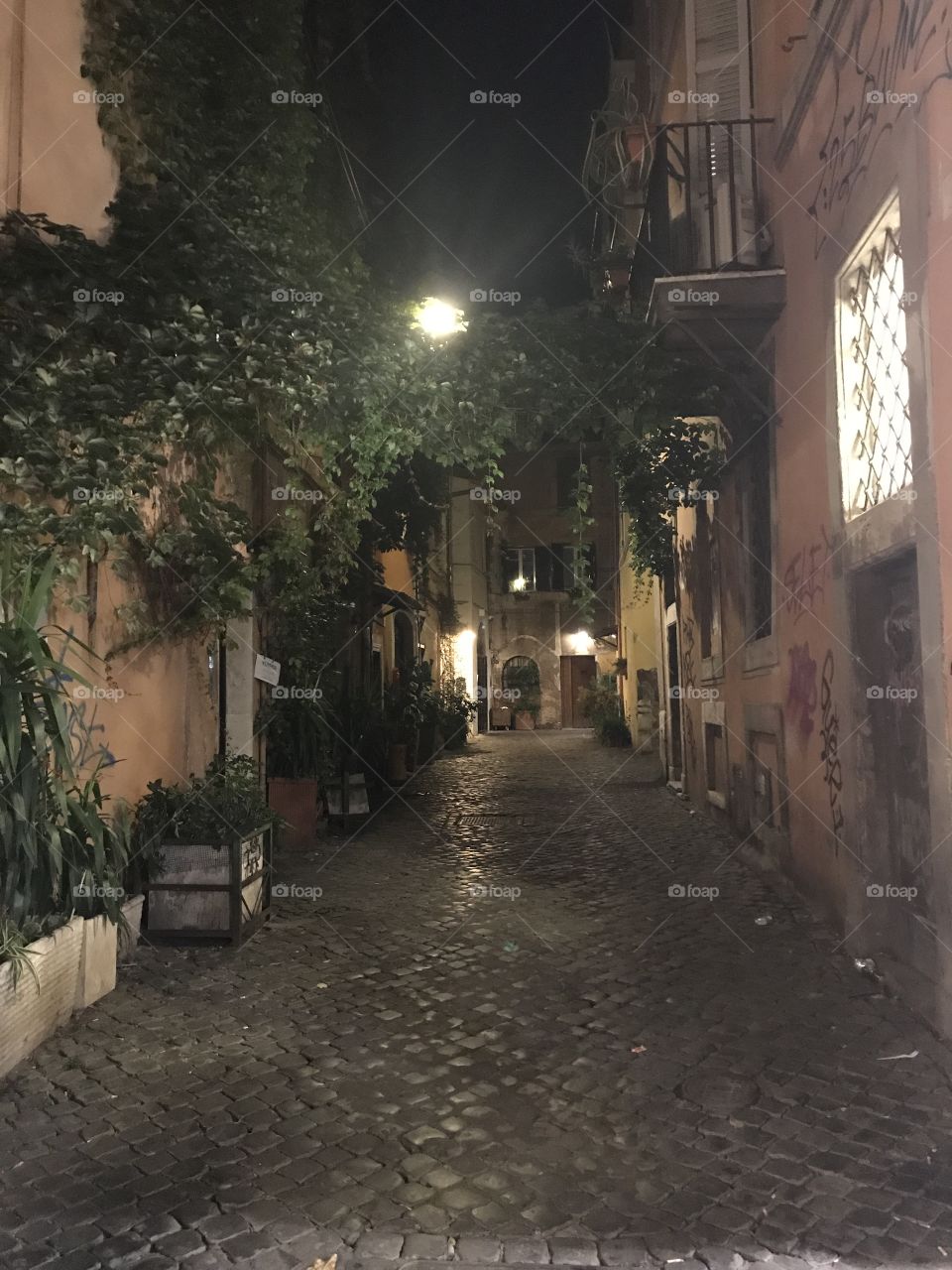 The Beauty of Trastevere 