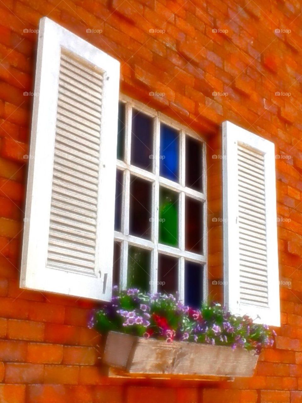 Window