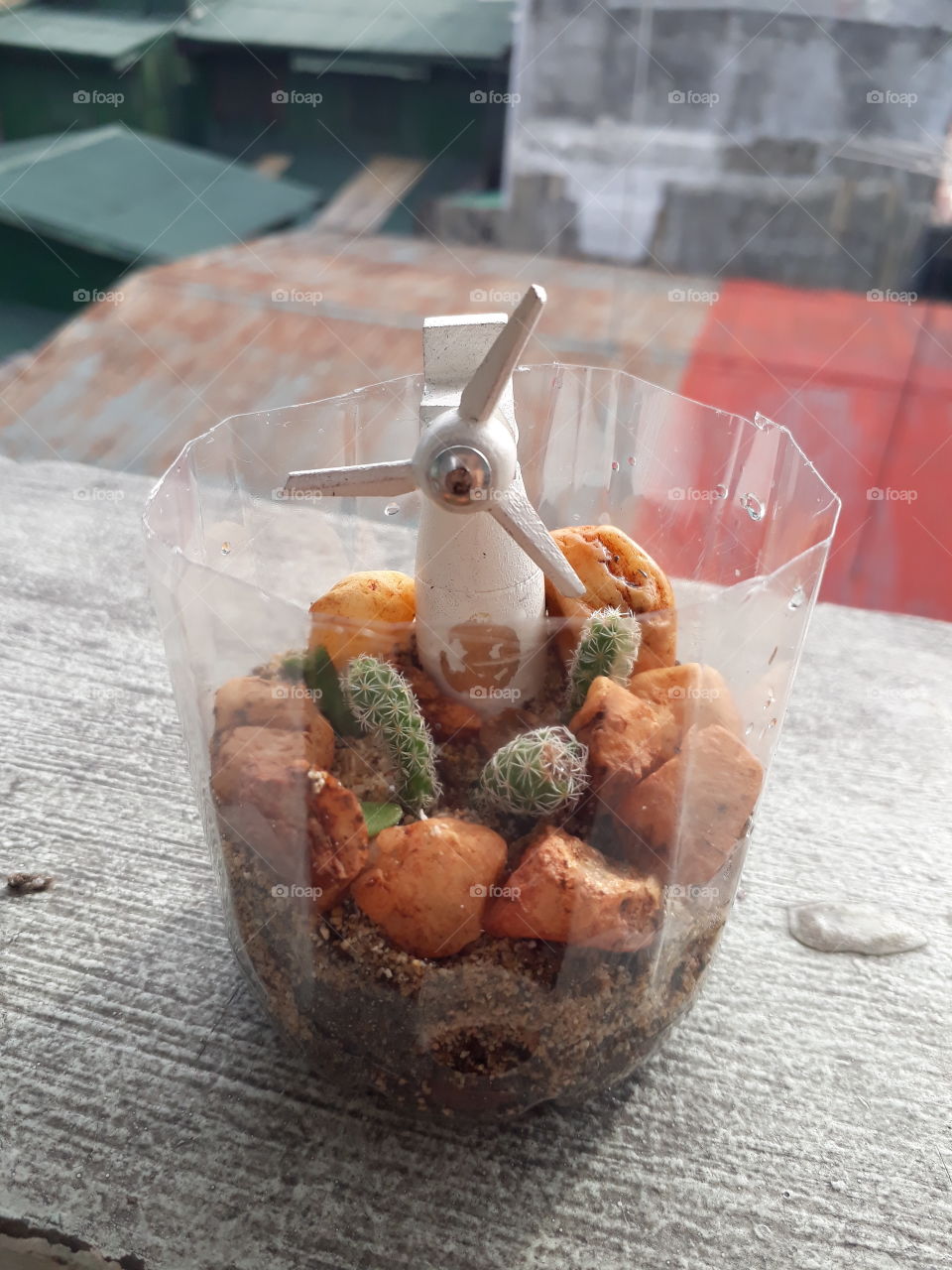 To love nature is to recycle!
#recycle #nature #cactus #succulent #stones #sand #plasticbottle #windmill #miniature #minigarden #succulent #beginner