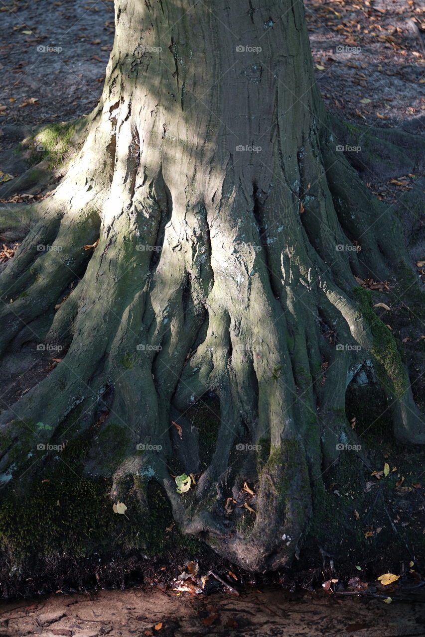 In a park in Antwerp