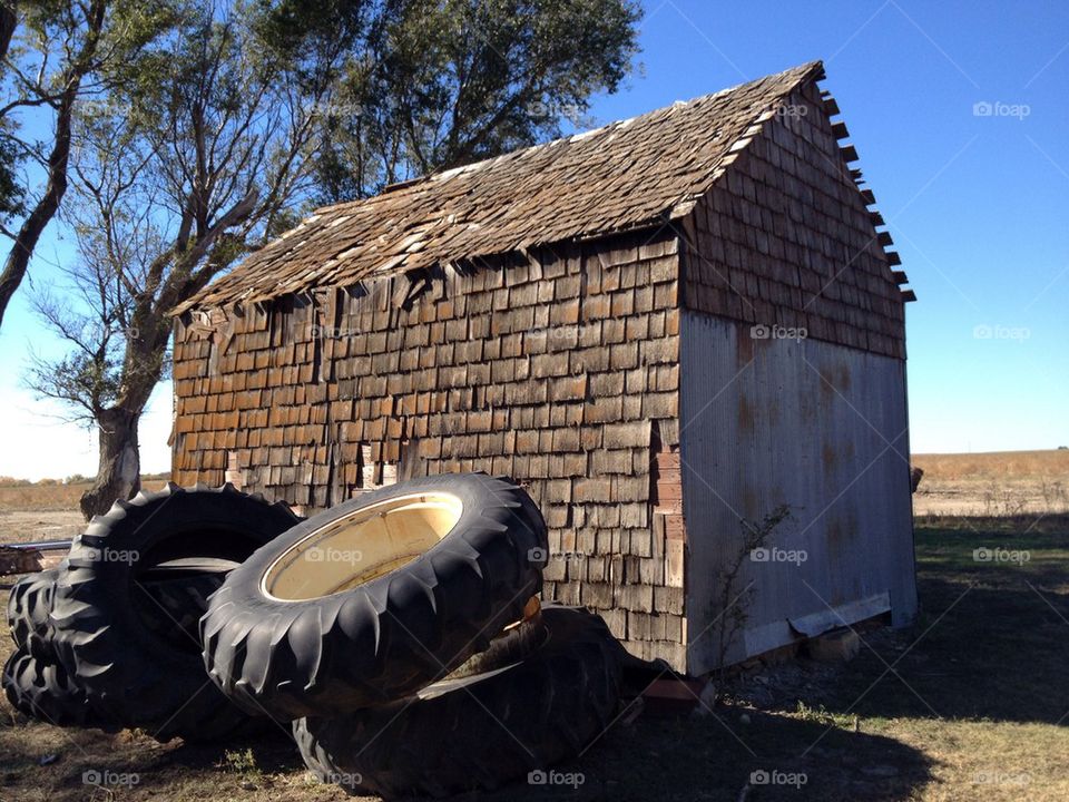 tree roof tire farm house by leanderthal