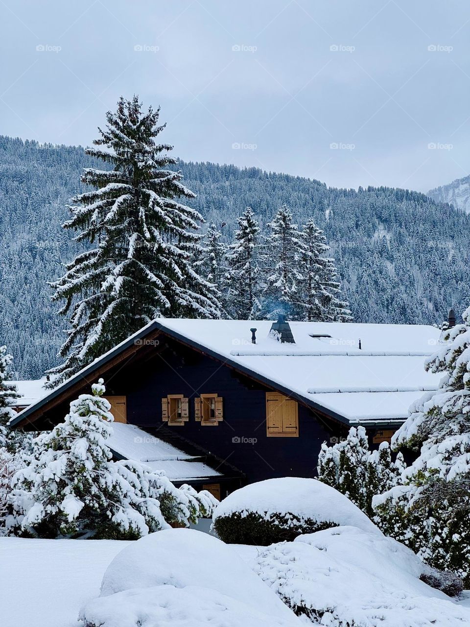 Cabin on the mountain