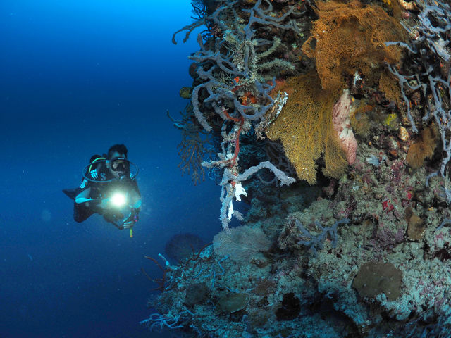a underwater