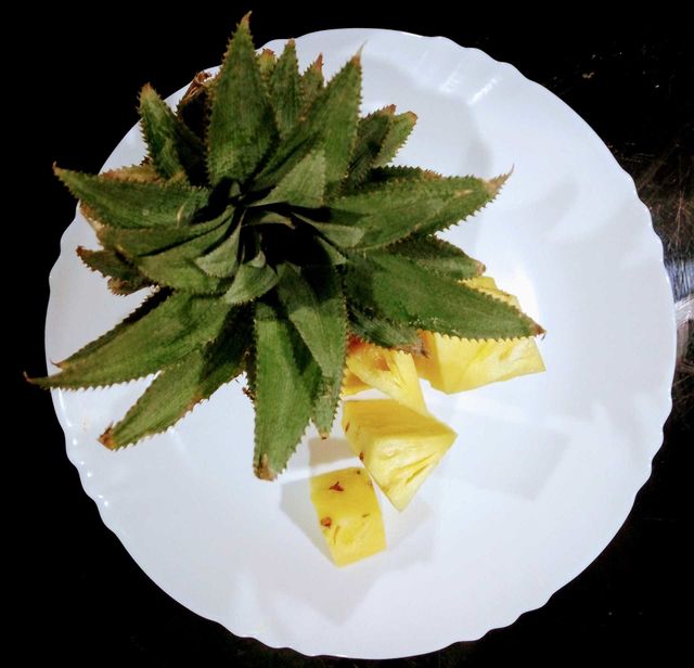 Pineapple