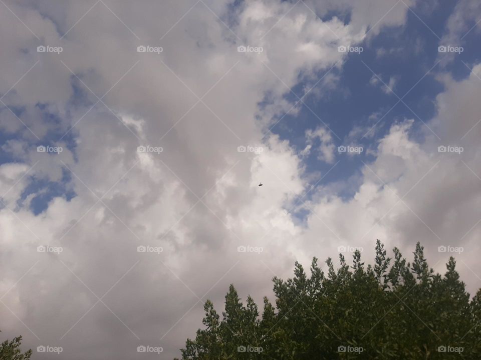 Please help me, I am very poor, I need your support and God is in need