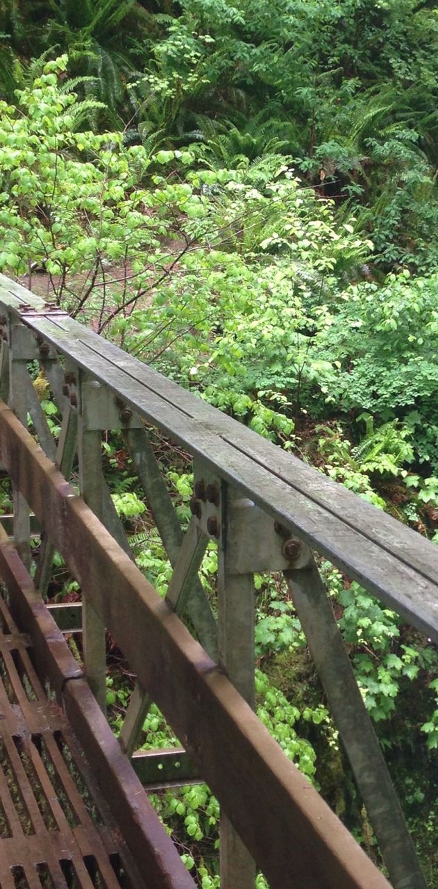 Path bridge 